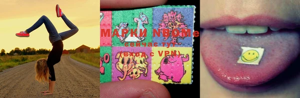 прущие грибы Зеленокумск