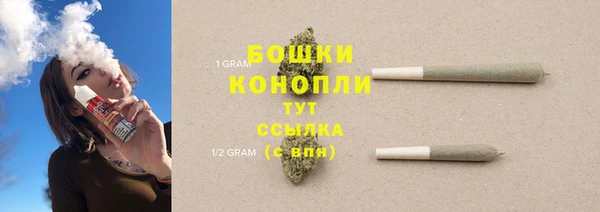 прущие грибы Зеленокумск
