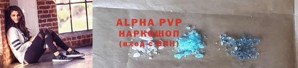 прущие грибы Зеленокумск